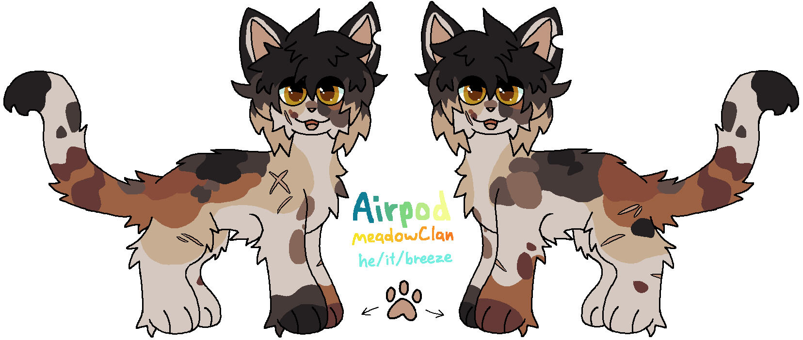 comes with info and both sides of design (18$)