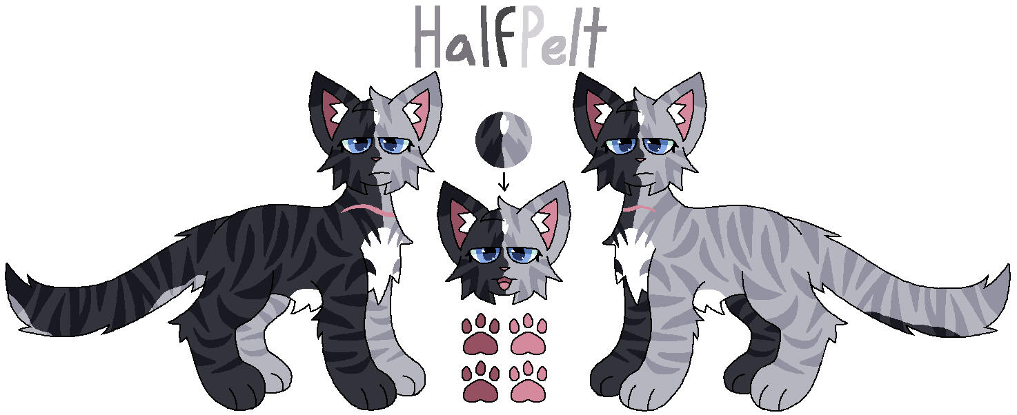 comes with info, both design sides, paws, headshot (20$)