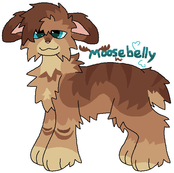 name based custom (10$)