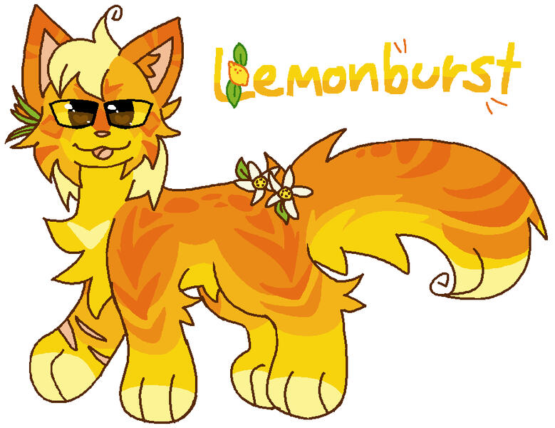 name based custom (10$)